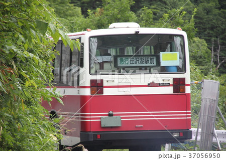 玉川温泉ラジウム岩盤浴 玉川温泉ラジウム岩盤浴 37056950