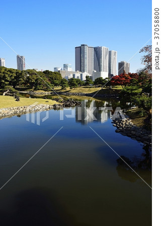 東京 都市風景 浜離宮 東京 都市風景 浜離宮 37058800