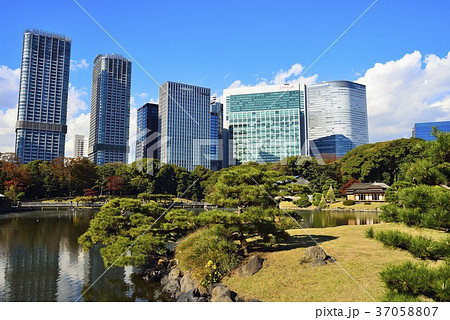 東京 都市風景 浜離宮 東京 都市風景 浜離宮 37058807