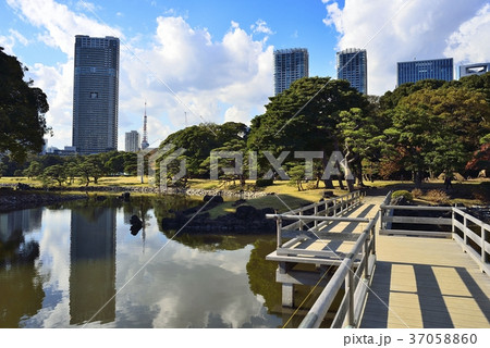 東京 都市風景 浜離宮 東京 都市風景 浜離宮 37058860