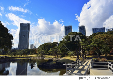 東京 都市風景 浜離宮 東京 都市風景 浜離宮 37058862