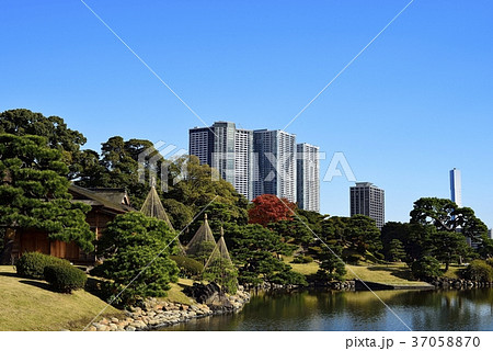 東京 都市風景 浜離宮 東京 都市風景 浜離宮 37058870