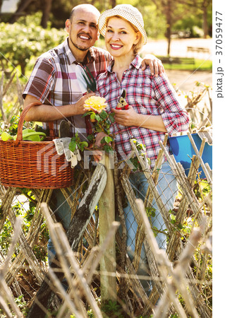 portrait of a lovely couple taking care of green plants in the garden portrait of a lovely couple taking care of green plants in the garden 37059477
