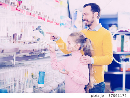Father and daughter choosing pretty bird Father and daughter choosing pretty bird 37061175