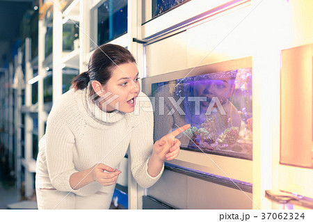 Girl admires the fish 37062324