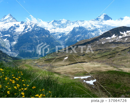 フィルストからバッハアルプーゼへのハイキングコースからアルプス 37064726