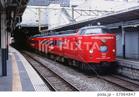 485系　RED　EXPRESS　にちりん 37064847