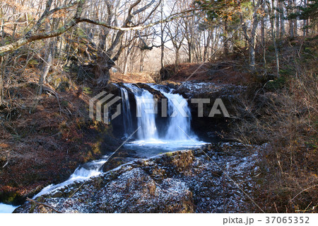 鐘山の滝 37065352