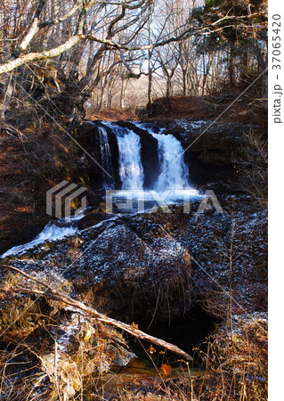 鐘山の滝 鐘山の滝 37065420