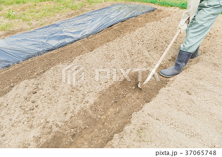 農作業イメージ 37065748