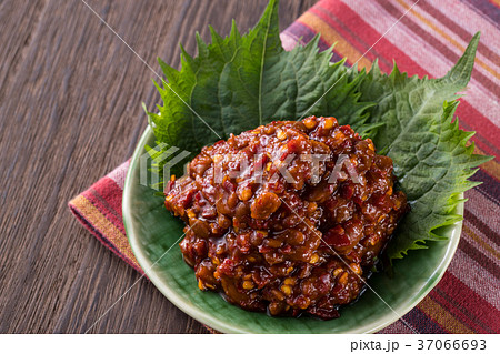 もろみ味噌 37066693