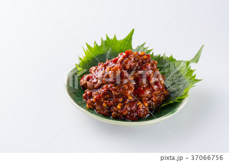 もろみ味噌 もろみ味噌 37066756