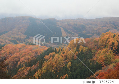 長野紅葉遠景 37067241