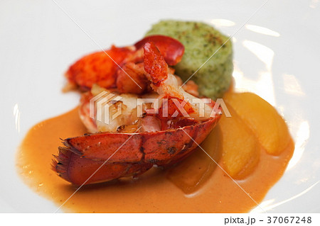 オマール海老 37067248