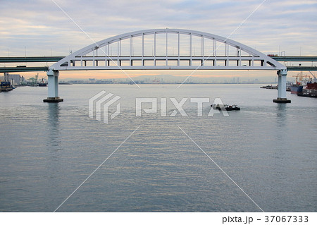 朝の阪神高速5号湾岸線・六甲アイランド大橋 37067333