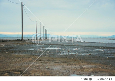 海への一本道 37067734