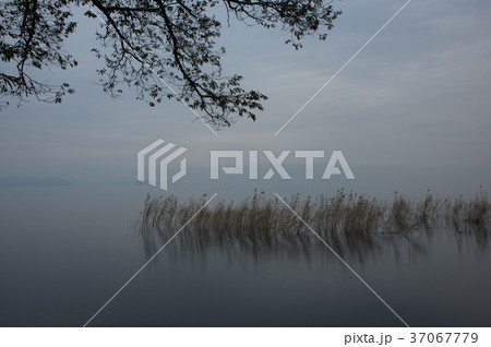 日の出前の琵琶湖 37067779