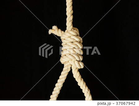 結び目 ロープ 縄 首吊りの写真素材