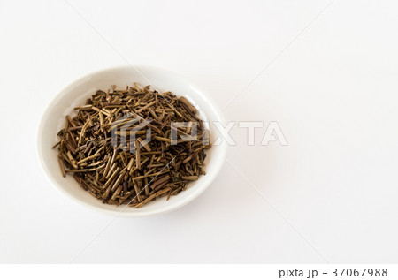 ほうじ茶 茶葉 日本茶 ほうじ茶 茶葉 日本茶 37067988