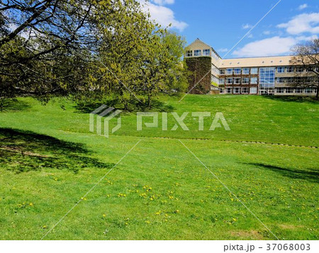 オーフス大学の美しい公園と建物 37068003