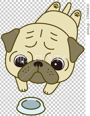 Belly Peko Pug Stock Illustration