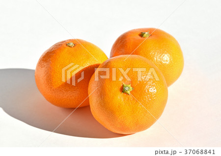 山北みかん 37068841