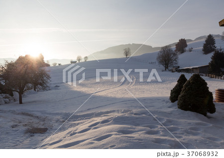 Sunrise in Alps in Austria Sunrise in Alps in Austria 37068932