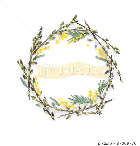 Pussy-willow branches with mimosa circle frame Pussy-willow branches with mimosa circle frame 37069776