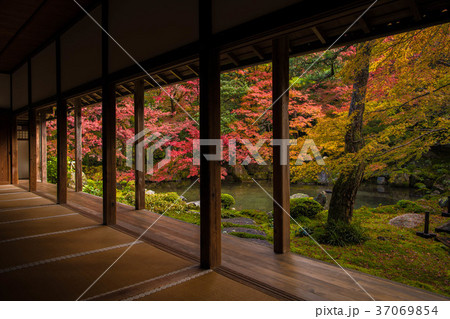 京都市左京区蓮華寺の紅葉 37069854