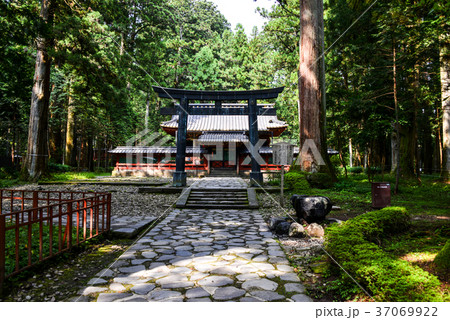 日光東照宮　御仮殿 37069922