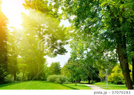 Bright sunny day in park. Bright sunny day in park. 37070283