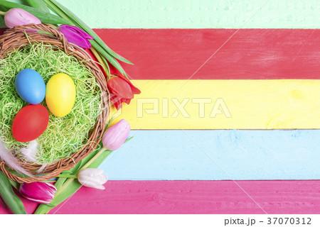 Painted eggs in a basket and tulips 37070312