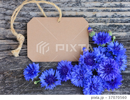 Paper tag with fresh cornflowers (Centaurea cyanus 37070560