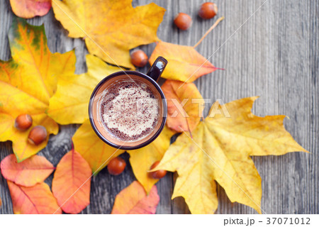 Autumn Cup of coffee, nuts, chocolate and leaves 37071012