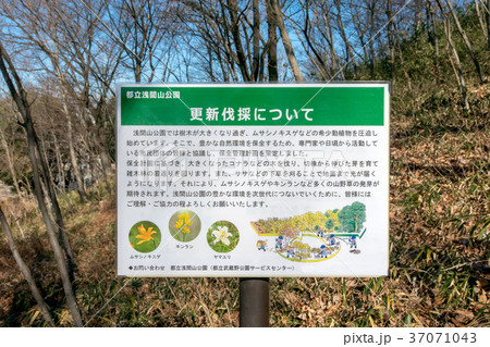 浅間山公園と浅間神社 浅間山公園と浅間神社 37071043