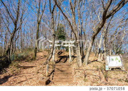 浅間山公園と浅間神社 37071058