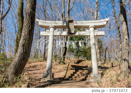 浅間山公園と浅間神社 浅間山公園と浅間神社 37071072