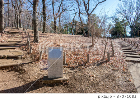 浅間山公園と浅間神社 浅間山公園と浅間神社 37071083