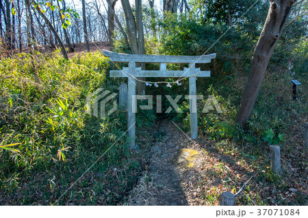 浅間山公園と浅間神社 浅間山公園と浅間神社 37071084