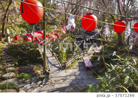 山賊村 風景 山賊村 風景 37071266