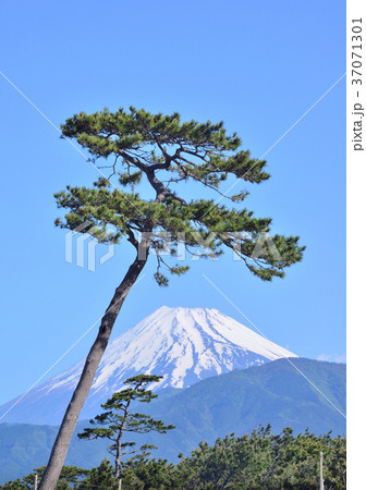 千本松原からの風景-88152 37071301