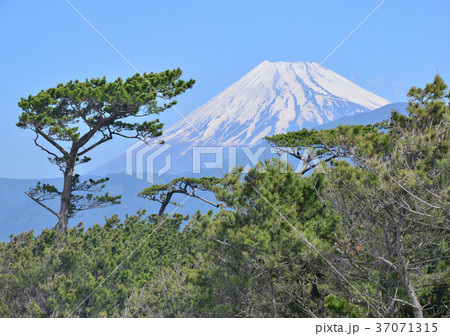千本松原からの風景-88156 37071315