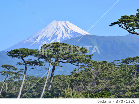 千本松原からの風景-88159 千本松原からの風景-88159 37071320