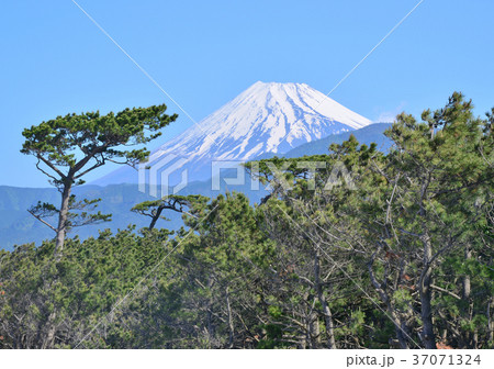 千本松原からの風景-88165 千本松原からの風景-88165 37071324