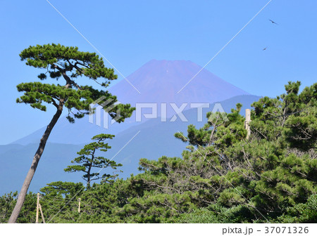千本浜からの風景-88167 37071326