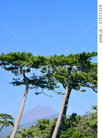 千本浜からの風景-88169 37071328