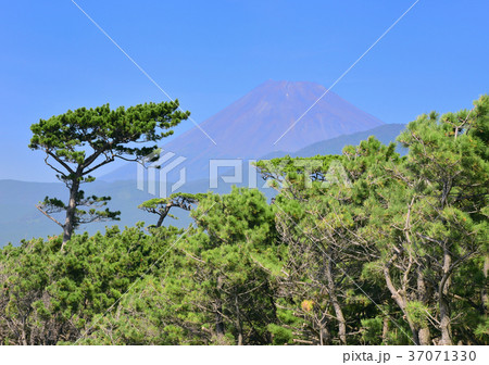 千本浜からの風景-88172 千本浜からの風景-88172 37071330