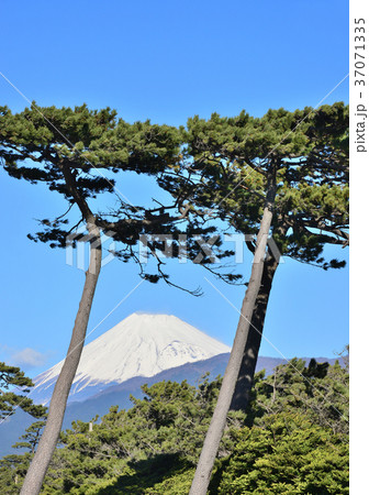 千本松原からの風景-88182 37071335