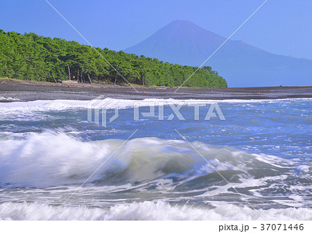 三保海岸からの風景-88038 三保海岸からの風景-88038 37071446