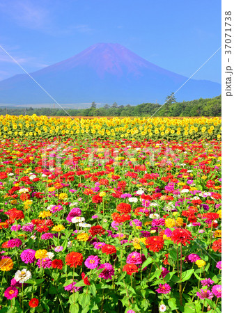 花の都公園からの夏の風景-777767 37071738